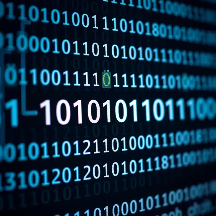 Understanding Binary Derivatives and Their Uses